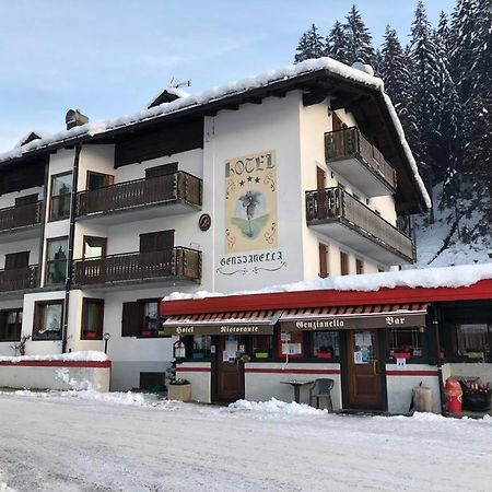Hotel Genzianella Presenaio 外观 照片