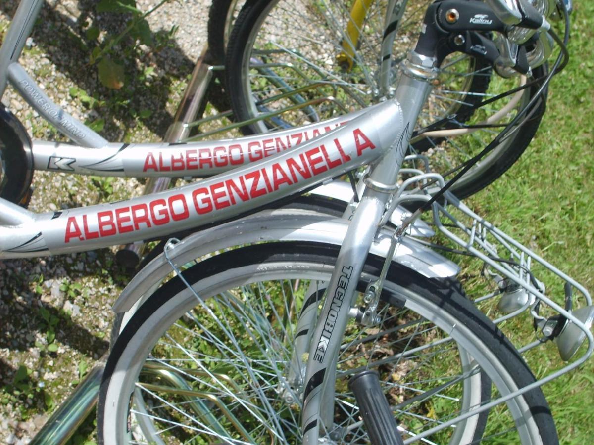 Hotel Genzianella Presenaio 外观 照片